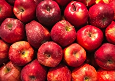 В Москве представили премиальный бренд яблок «Золотое-молодое»