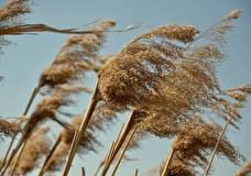 Стартует проект о здоровье, городах и качестве воздуха