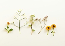 Учимся говорить о важном: стартовал четвёртый этап «Формулы успеха»