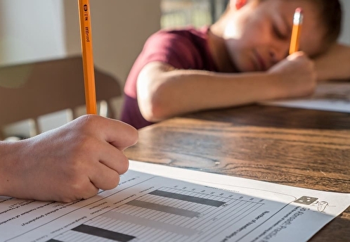 Московские школьники 6-11 классов останутся на удаленке до 22 ноября