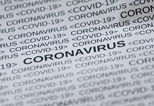 Вирусолог рассказал об эффективности антитела 35B5 в лечении коронавируса