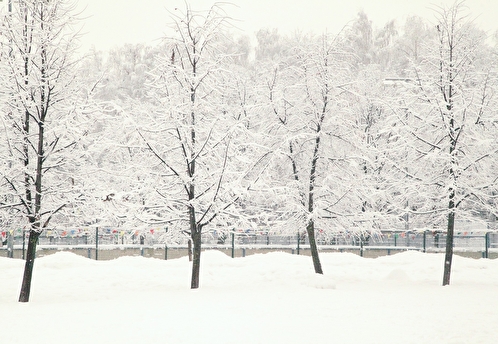 Тишковец: в Москве 7 декабря будет рекордный снегопад