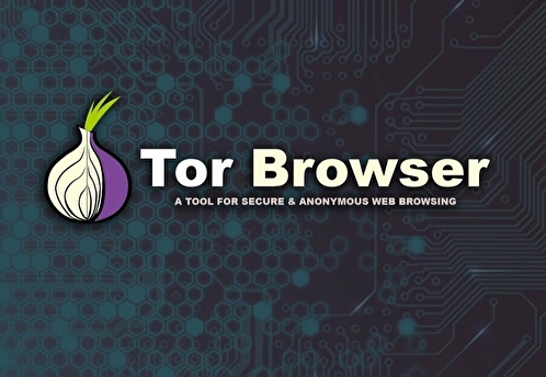 Эксперт о блокировке Tor Роскомнадзором: браузер стал базой противоправного контента