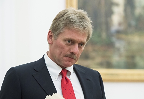 В Кремле не согласны с решением суда Берлина по делу Хангошвили
