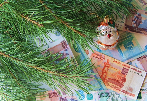 В Госдуме оценили предложение о ежегодной новогодней выплате для пенсионеров