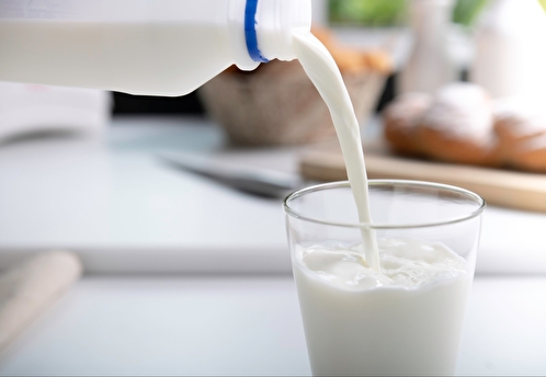 Эксперт: базовые молочные продукты однозначно останутся на полках магазинов