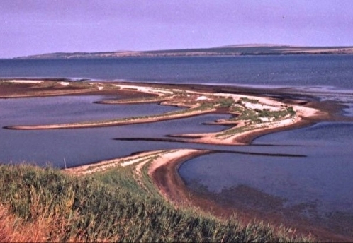 Соленые озера в Приморско-Ахтарском районе признаны особо охраняемой природной территорией