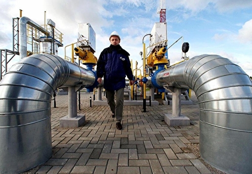 В случае остановки поставок газа из РФ Германии хватит запасов до осени