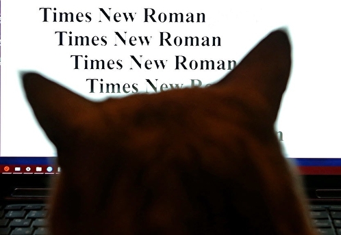 Россиянам стали недоступны шрифты Times New Roman и Arial