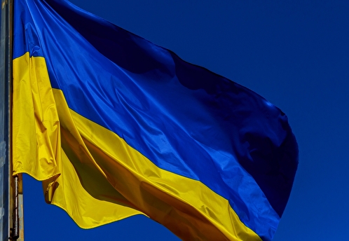 Украинская спортсменка развернула флаг со свастикой на турнире по боксу