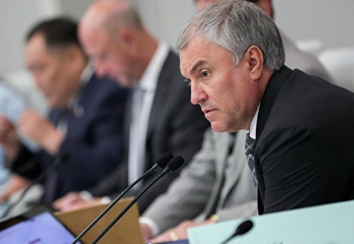 Спикер Госдумы предложил депутатам во время летнего отпуска съездить в ДНР и ЛНР