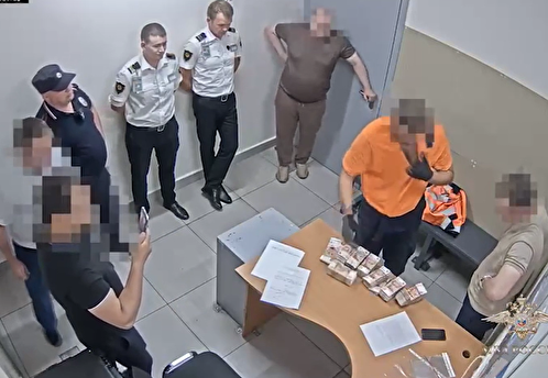 Укравший 21 млн рублей грузчик из Шереметьева заключен под стражу