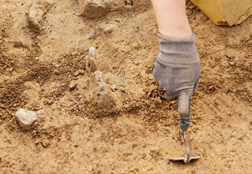 Тысячелетний рыцарский меч нашли археологи в Польше