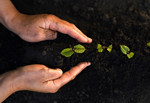 РЭО занялся экологизацией на форуме «УТРО»