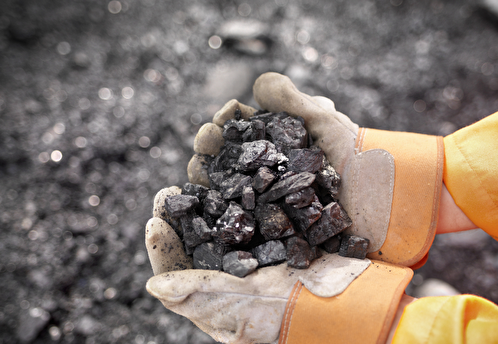 Индийские компании оплачивают российский уголь в юанях и дирхамах
