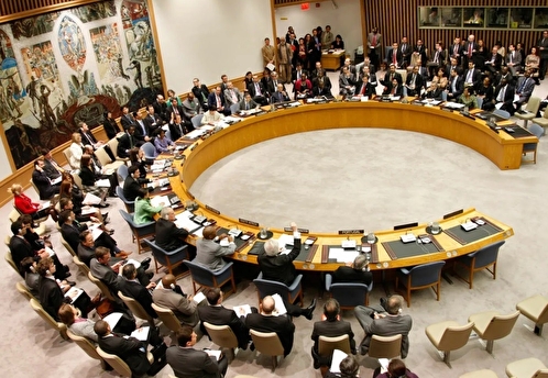 Россия выступила против виртуального участия Зеленского в заседании СБ ООН