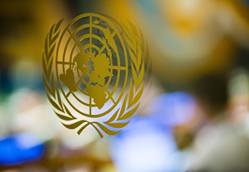 Менее трети стран ООН присоединились к антироссийскому заявлению по ситуации на Украине