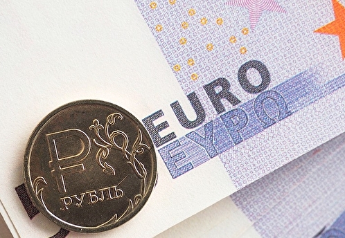 В Совфеде предложили дать асимметричный ответ на изъятие финнами евро у россиян