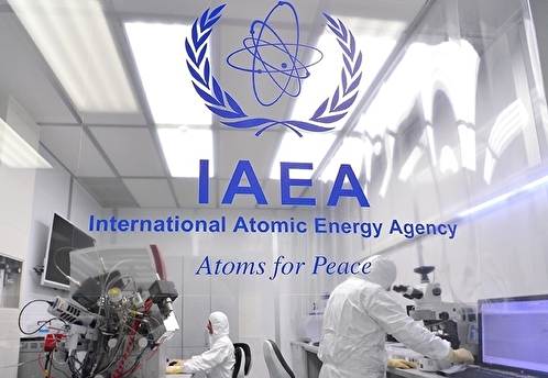 МАГАТЭ опубликовало отчет по итогам миссии на Запорожскую АЭС
