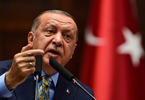 Эксперт оценил заявление Эрдогана о «металлоломе», который Запад поставляет на Украину