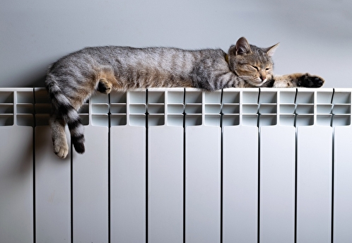 Отопление в жилых домах в Москве начнут включать 18 сентября