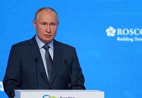 Путин предложил создать в Турции крупный газовый хаб для Европы