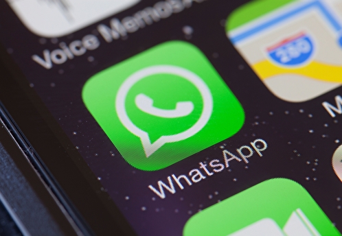 Минпросвещения запретило школам использовать WhatsApp и иностранные мессенджеры