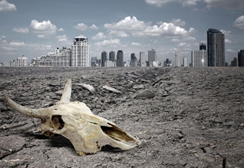 Компьютер World One спрогнозировал гибель человечества к 2050 году — The Daily Star