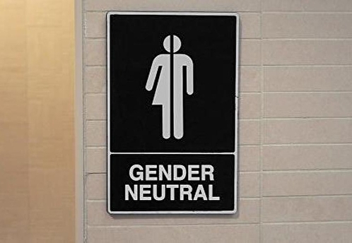 Лавров описал гендерно-нейтральные туалеты фразой «не по-людски»