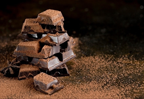Врач Мясников рассказал, какой шоколад следует употреблять в пищу
