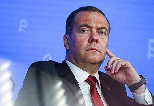 Медведев заявил, что антигосударственные политические силы нужно устранить