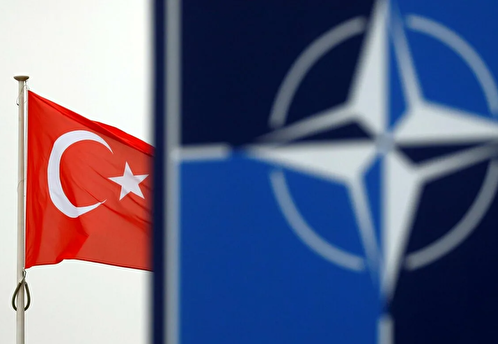 Переговоры по вступлению Швеции и Финляндии в НАТО отложили по запросу Турции