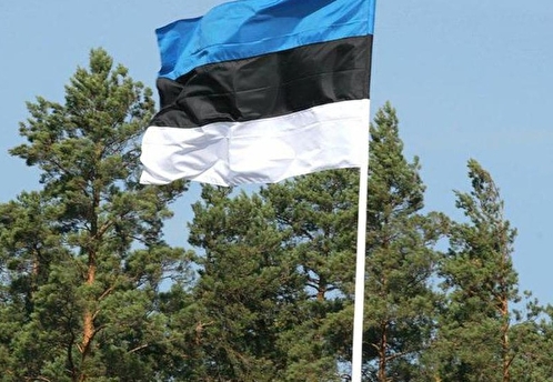 Посол Липаев заявил, что Запад даст Эстонии оружие, чтобы держать под прицелом Петербург