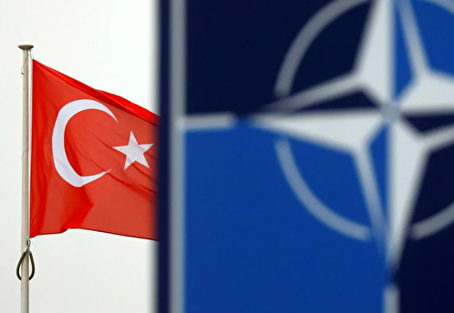 Турецкий политик Санчак предположил, что страна выйдет из НАТО через 5-6 месяцев
