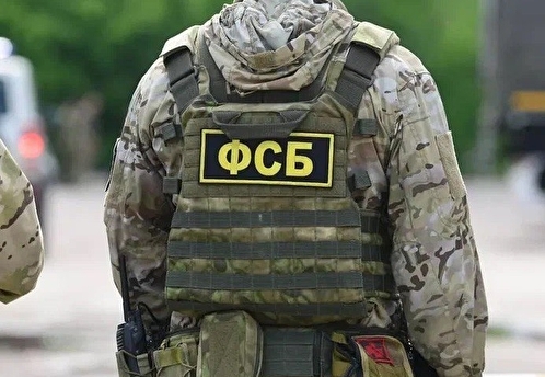 ФСБ пресекла деятельность ОПГ, укравшей из Пенсионного фонда более 2 млрд рублей