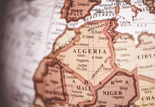РЭО поможет Алжиру модернизировать инфраструктуру обращения с отходами