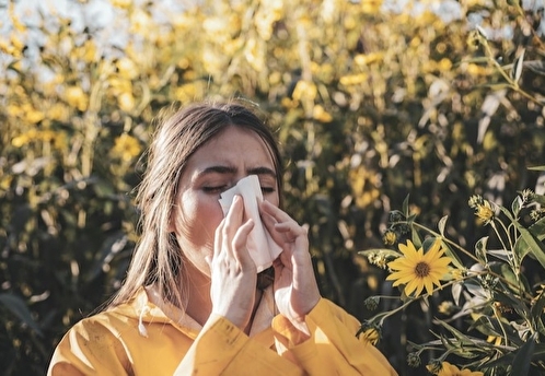 Аллерголог: концентрация пыльцы в городах может быть очень высокой