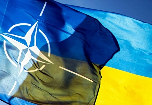 Financial Times: в НАТО признали, что игнорируют заявку Украины на вступление в альянс