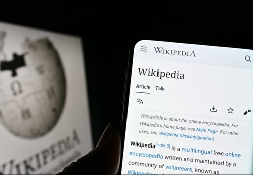Глава Минцифры Шадаев заявил, что планов по блокировке «Википедии» пока нет