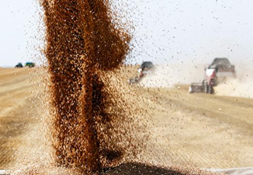 Fakt: Украина уничтожила польское сельское хозяйство поставками своего технического зерна