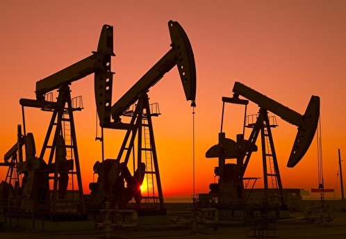 Индия сообщила о задержках в оплате нефти из России по цене свыше 60 долларов за баррель