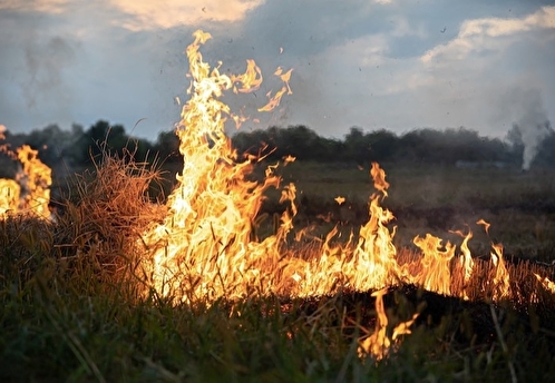 Губернатор Воробьев призвал усилить пожарную безопасность в лесах Московской области