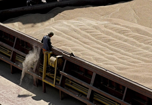 Песков: перспективы продления зерновой сделки дают скромные поводы для оптимизма
