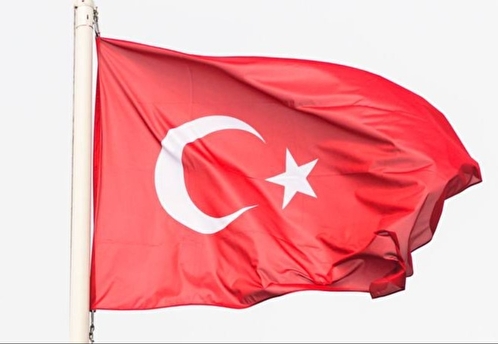 Турция договорилась с РФ об отсрочке выплат за газ на 600 млн долларов до 2024 года