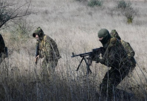 SHOT: украинская ДРГ вступила в перестрелку с пограничниками в Курской области и ушла