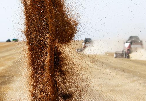 Bloomberg не исключил, что зерновую сделку продлят и Россия останется ее участником