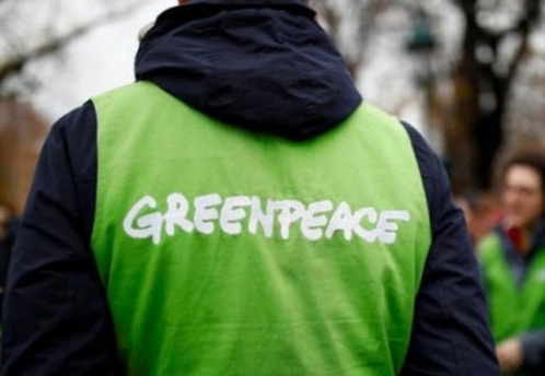 Генпрокуратура признала нежелательной деятельность Greenpeace в России