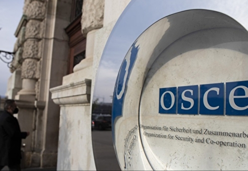 В финском МИД заявили о возможном расколе ОБСЕ из-за РФ и Белоруссии