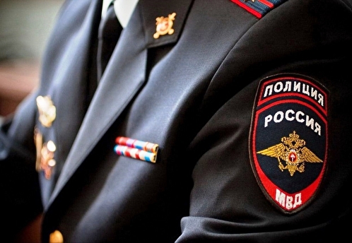 МВД и ФСБ обнаружили в Подмосковье арсенал с десятками пистолетов, автоматов и патронами