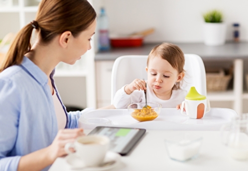 В Швеции молодые родители не могут ежедневно кормить детей завтраком